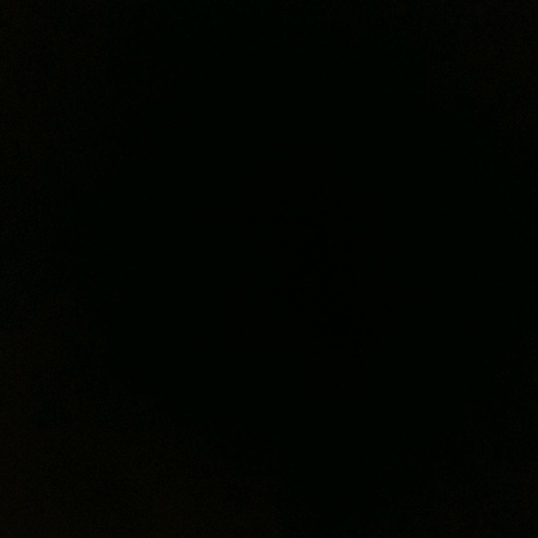 &彼岸花&
