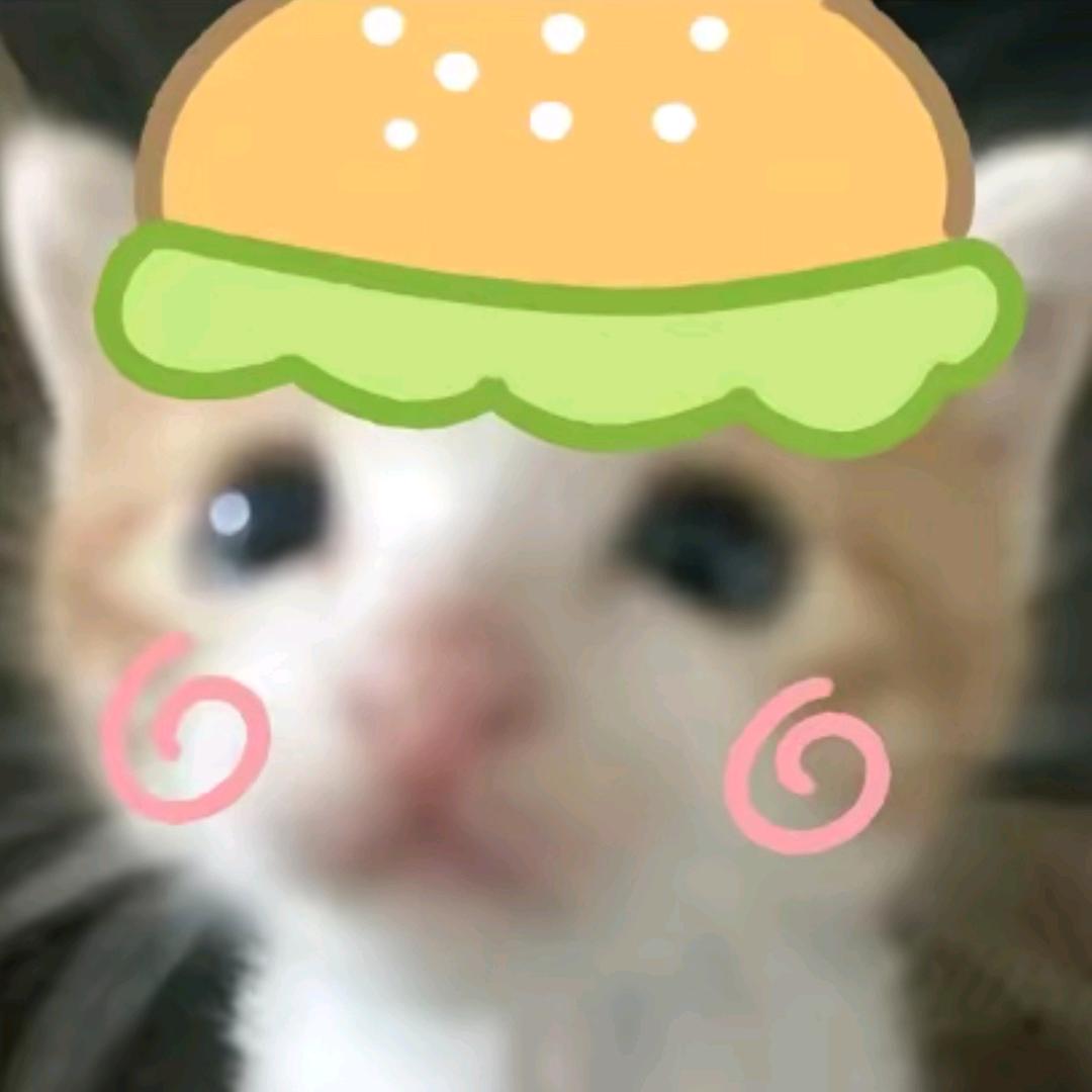薯薯片🌾