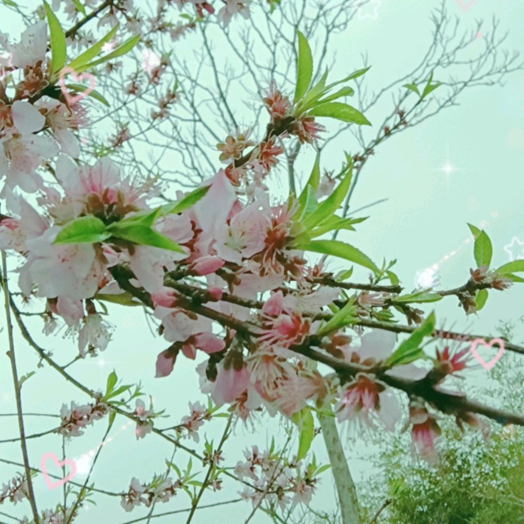 梅梅꧔ꦿ℘এ᭄ꦿ꯭