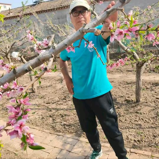 🐓你是风儿我是沙🐓