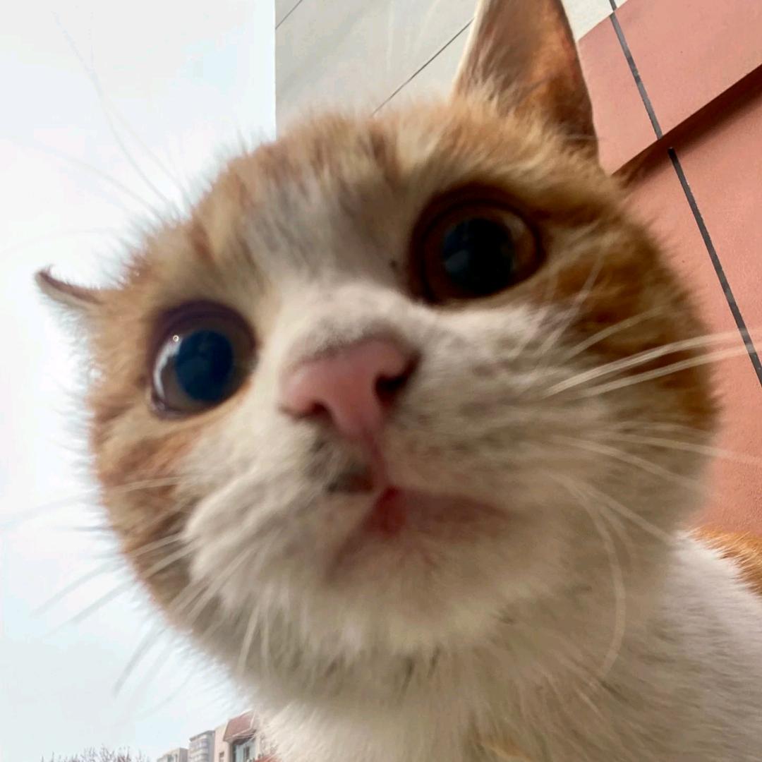 唐时