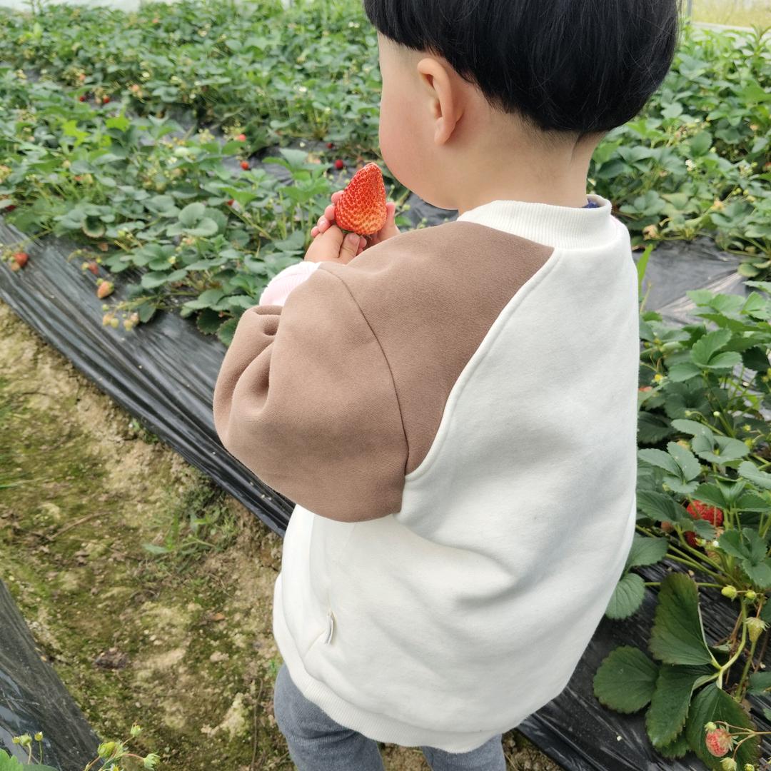 柚子啊