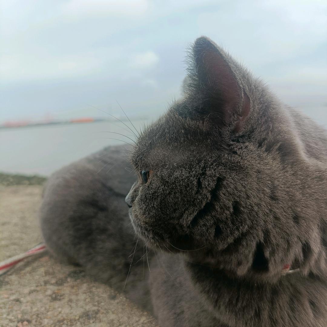 是苏苏‍