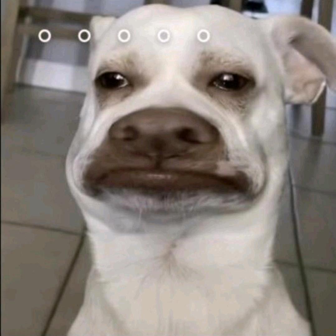 Fhcuty