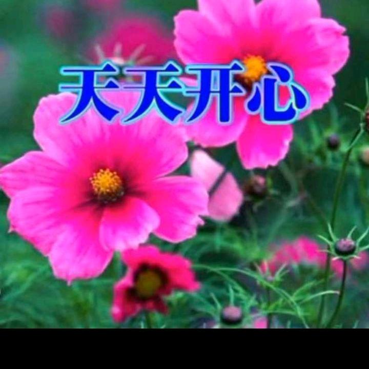 郑哥5233