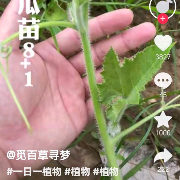 萍水相逢
