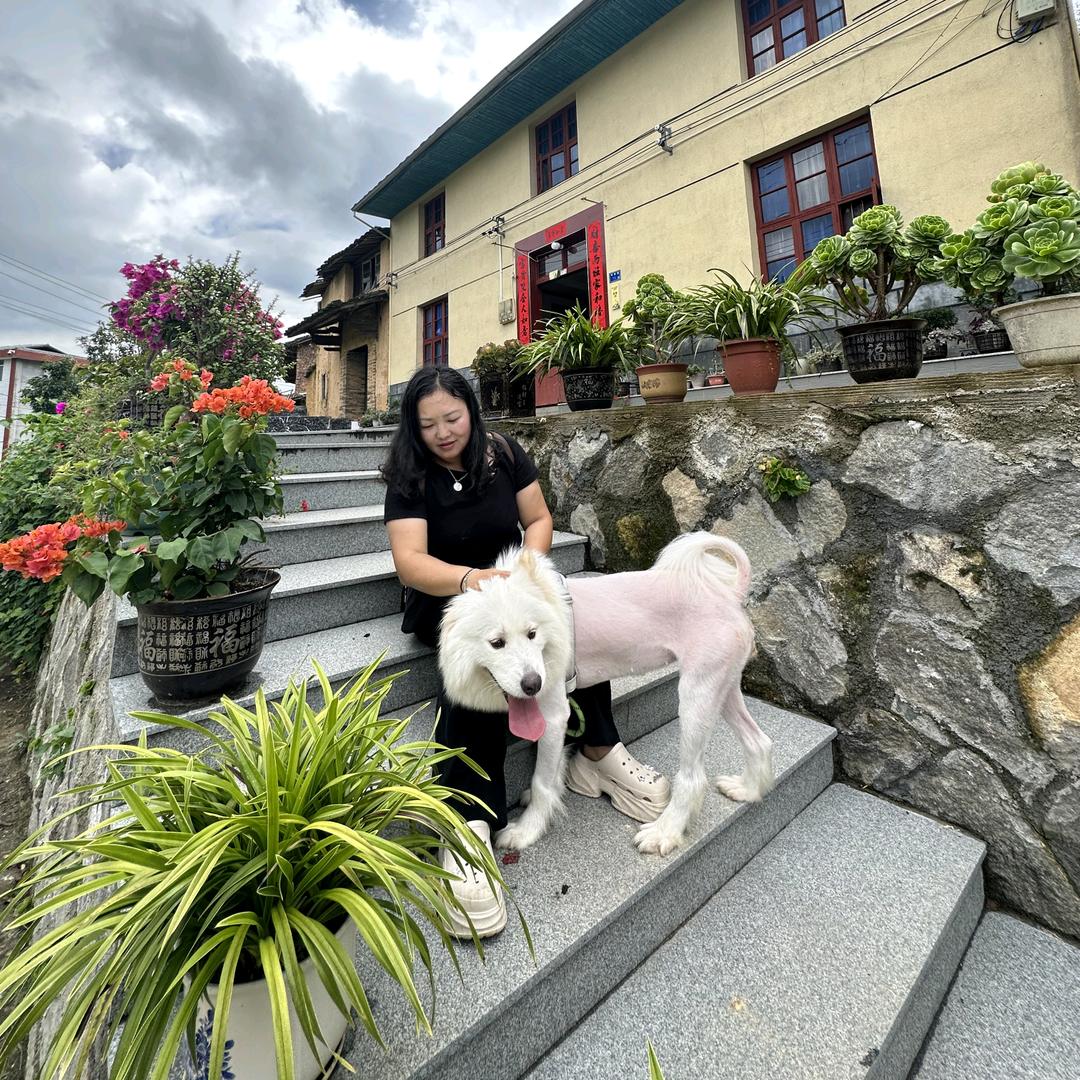 静待梅花开     😜