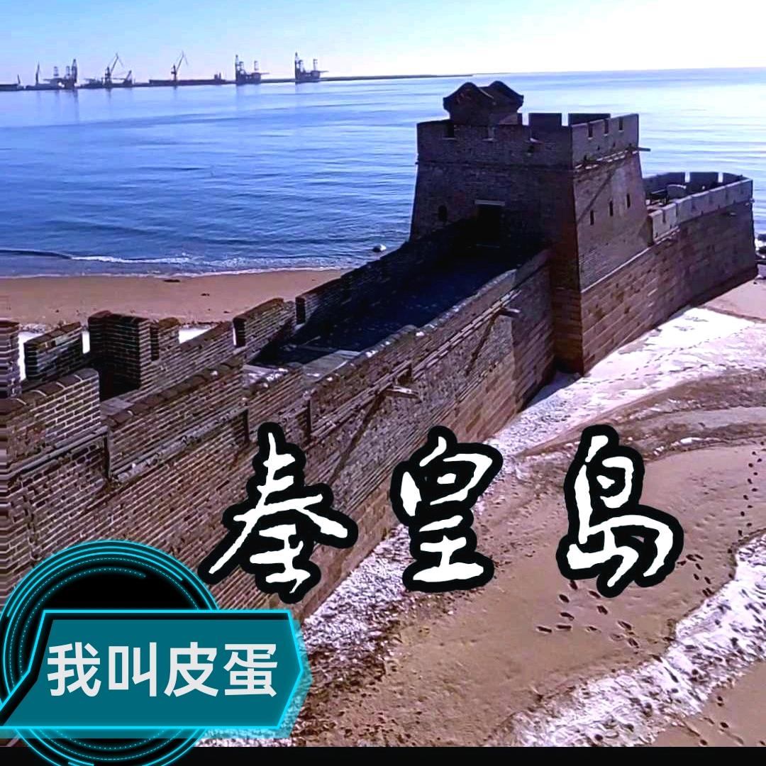 我叫皮蛋