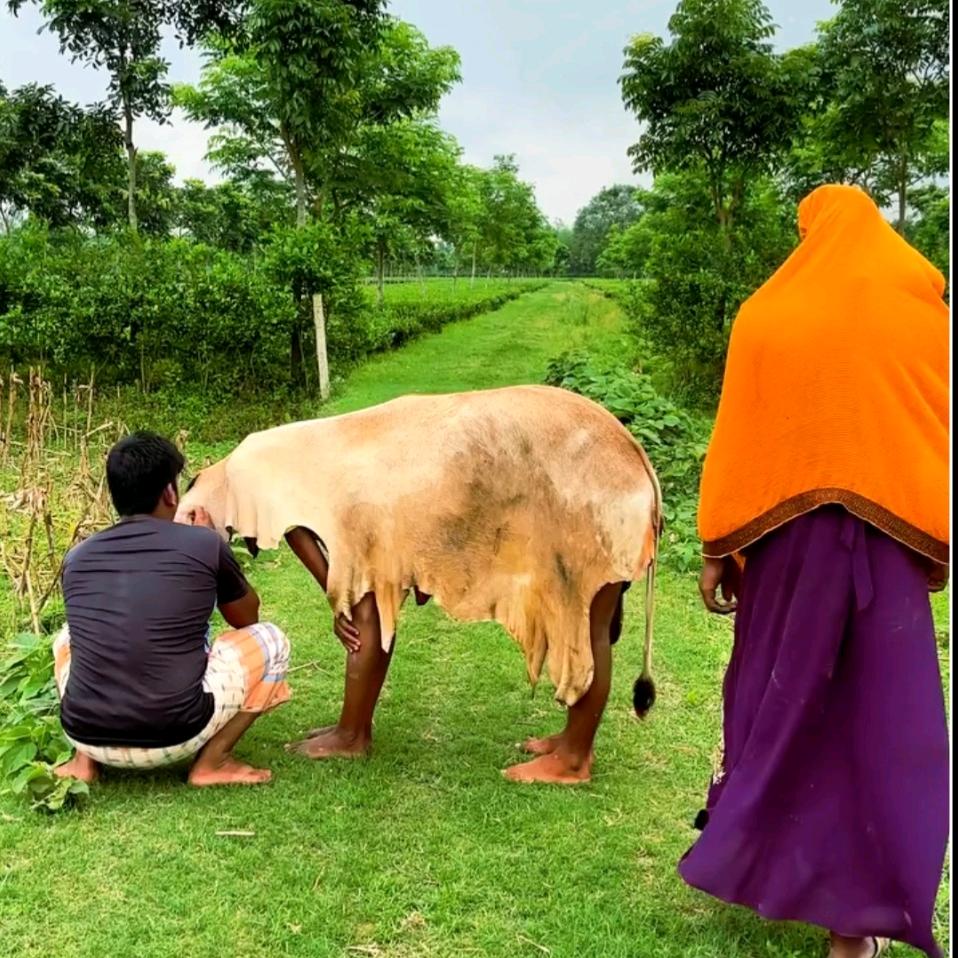 阿鑫在杭州@抖音