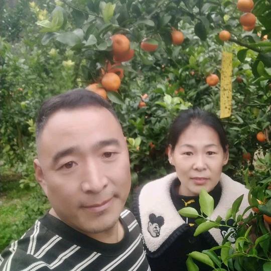 邵红军家属（王艳）