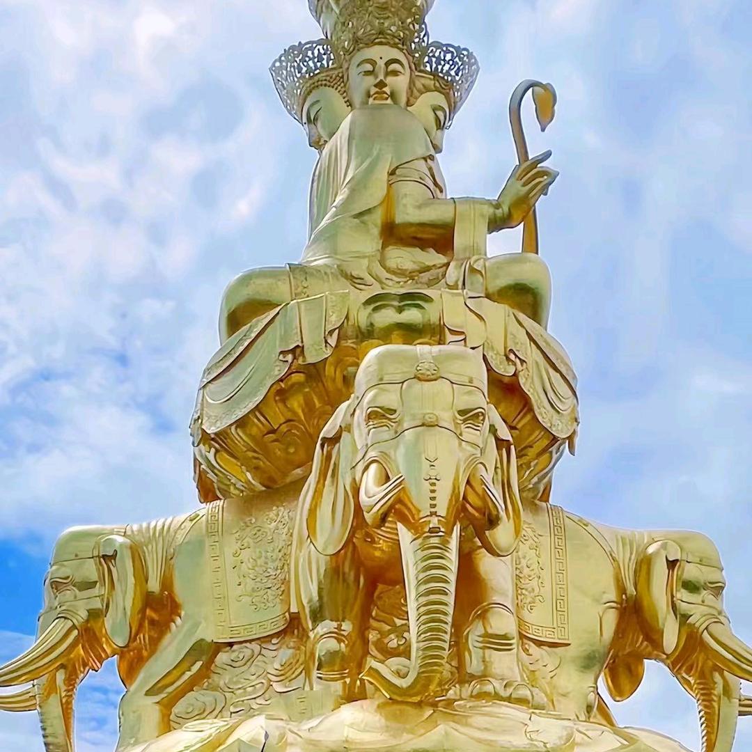 小飞龙xiaofeilong💞💗