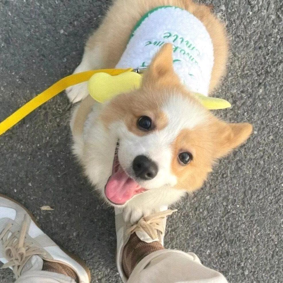 华子哥