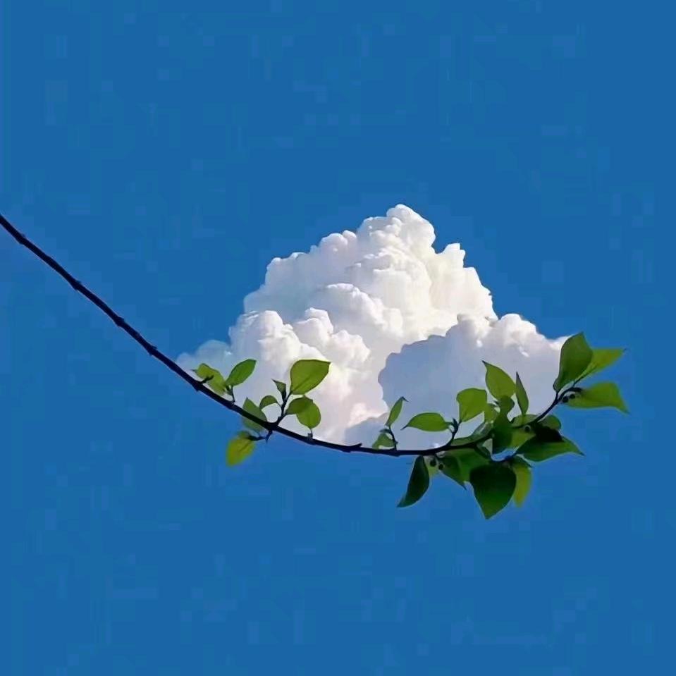 遥清水