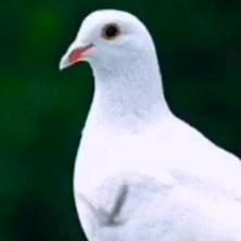 133