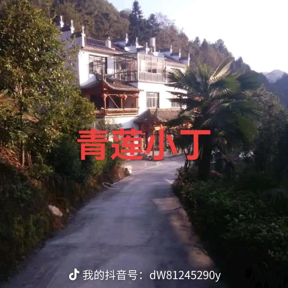 海盐小丁
