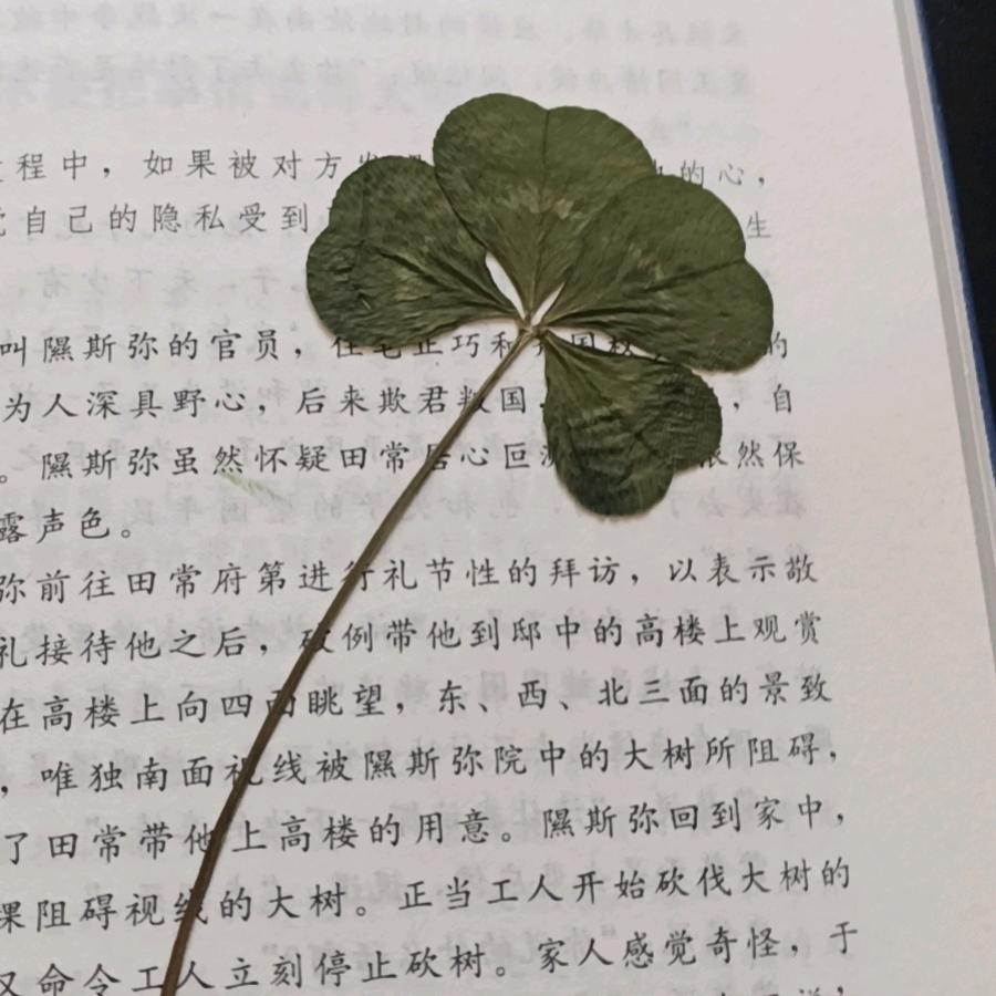 明远