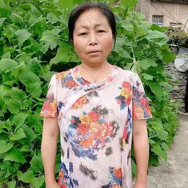 落叶知秋-