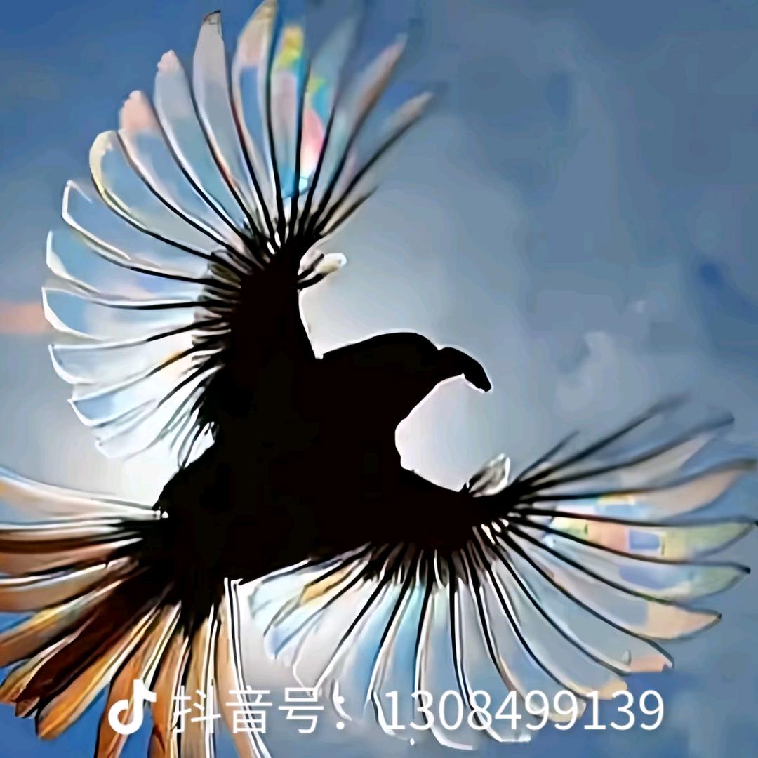 好人