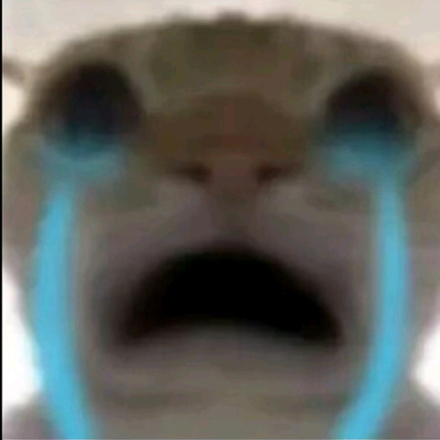 刀鼠（三角洲跑刀）