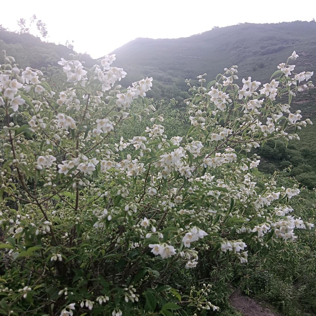 孤独不孤单