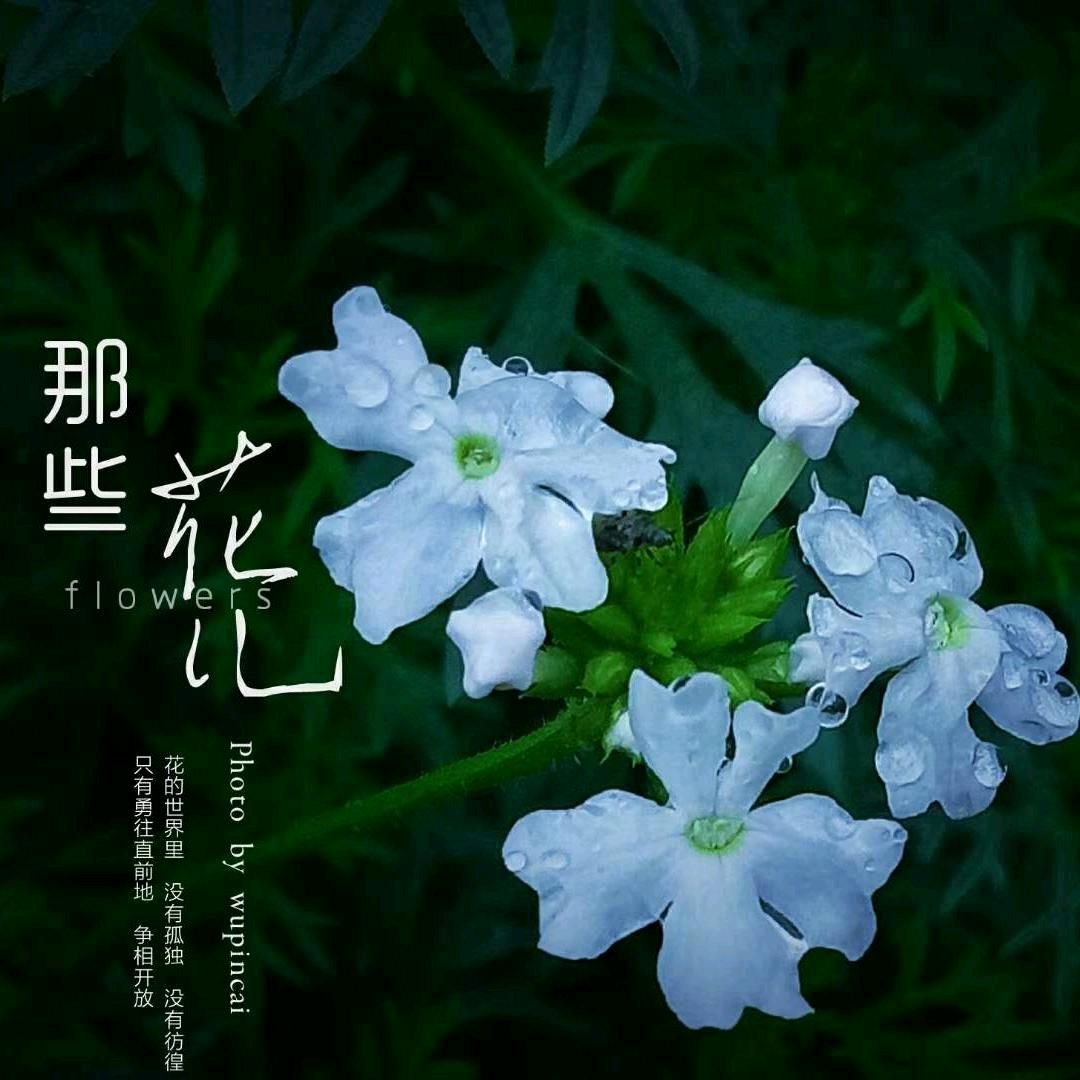嗯