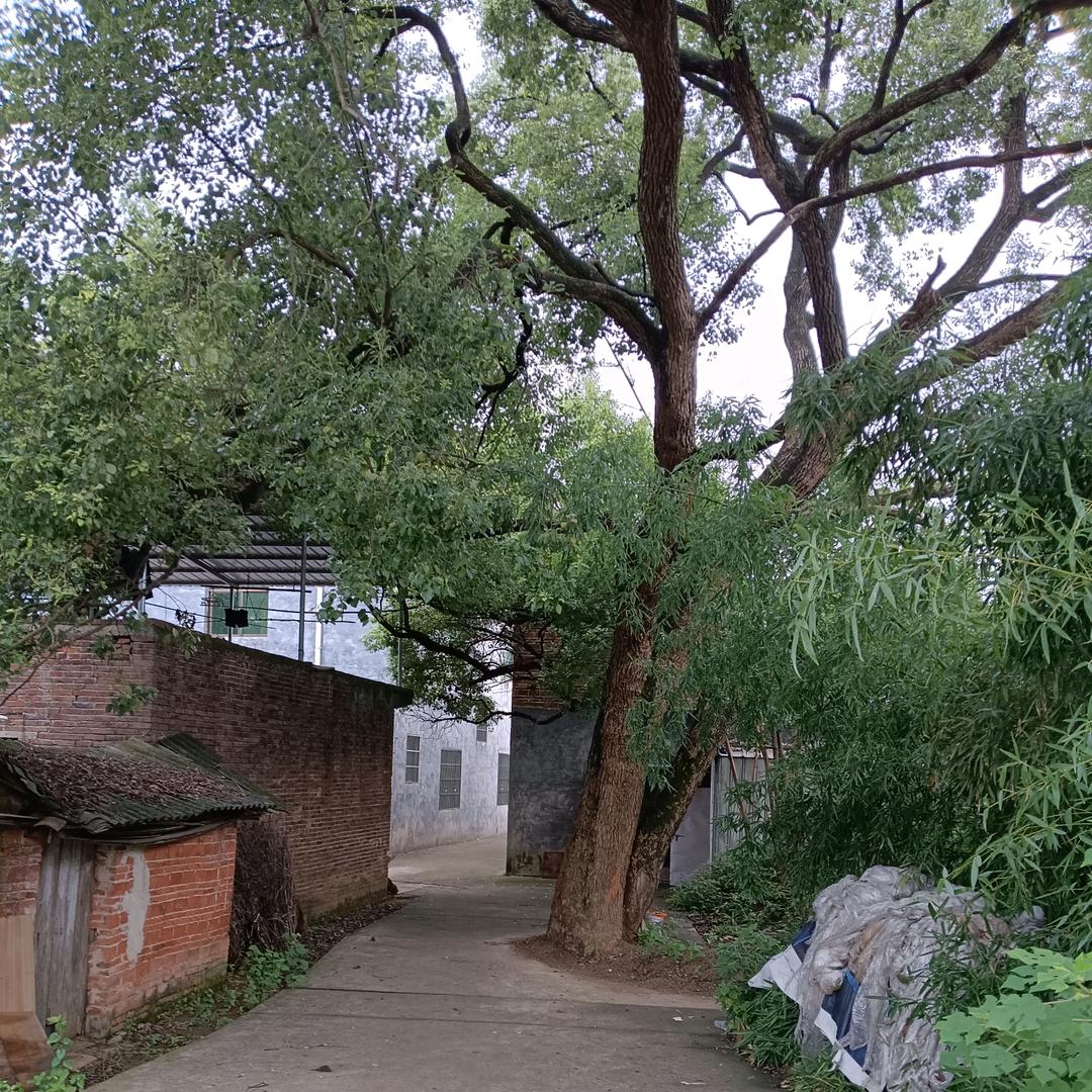 简简单单