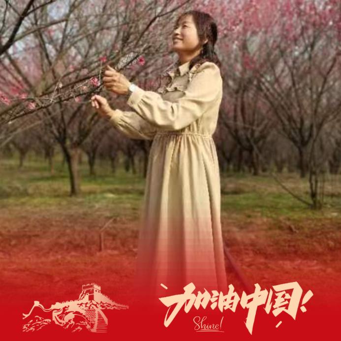 一颗不起眼的小草