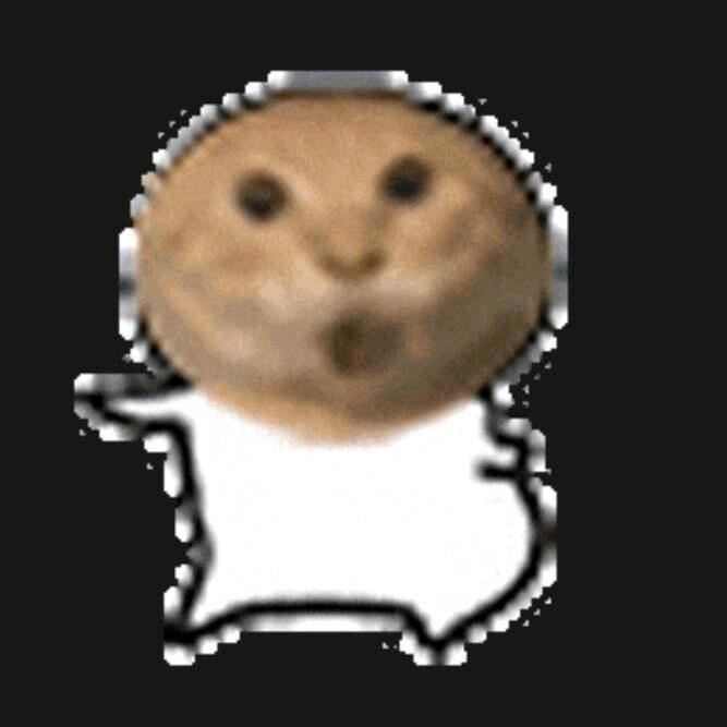 耄耋