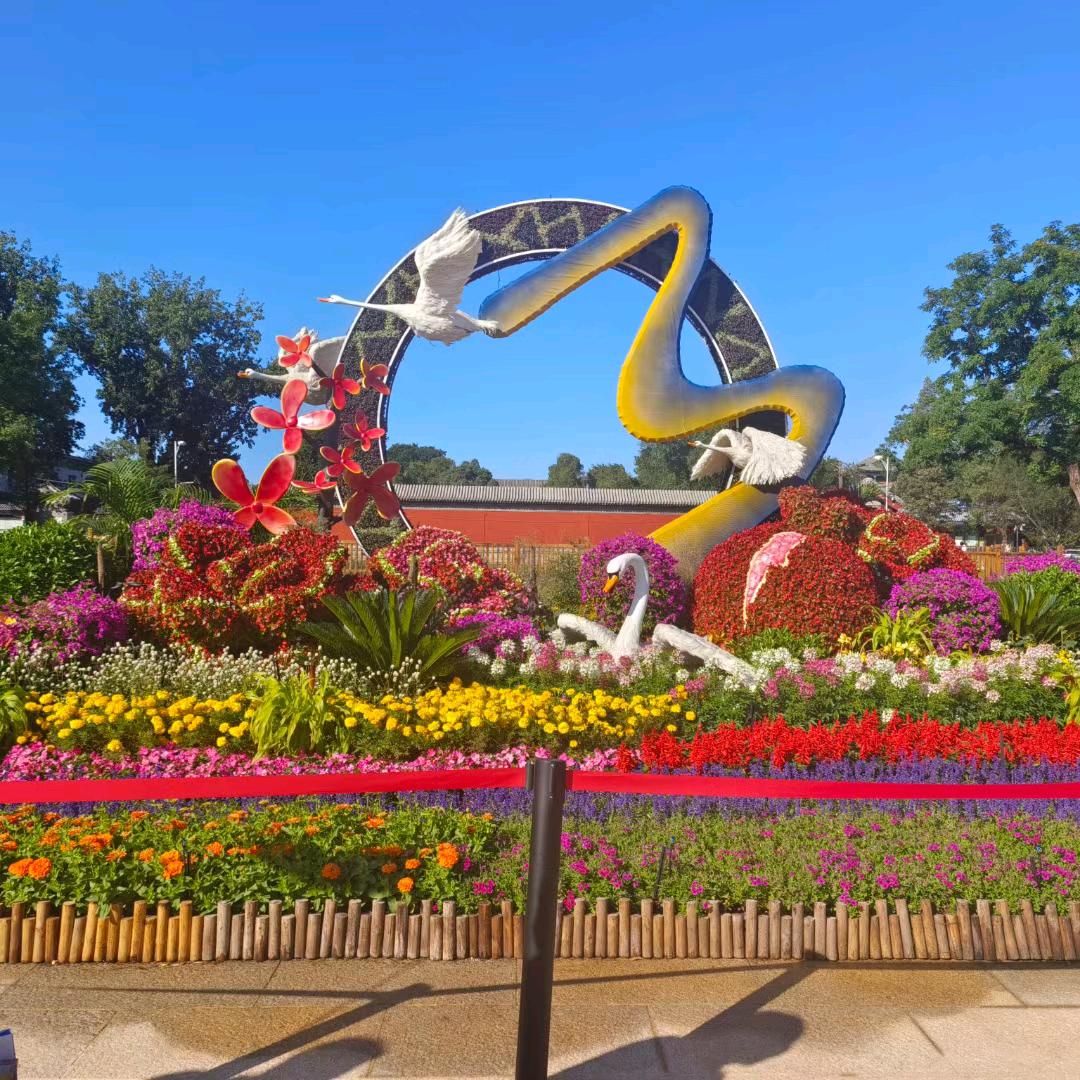 └（★ｏ★）┐