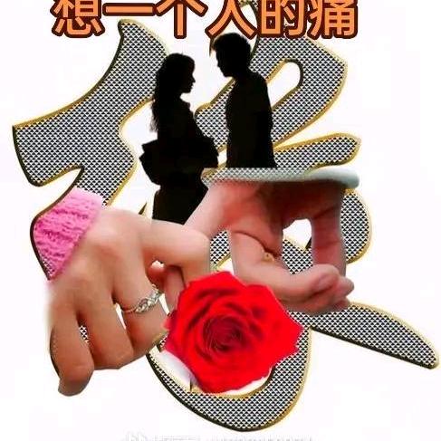 孤独的狼