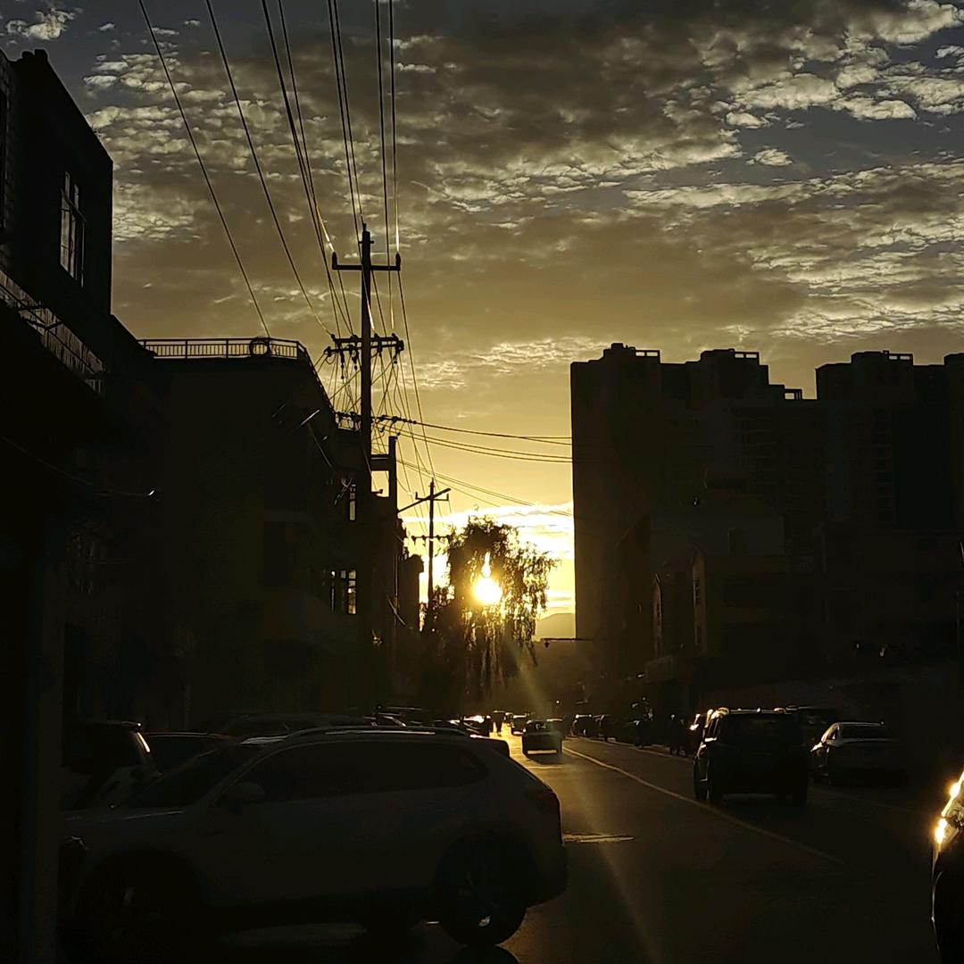昭阳区小涛水果