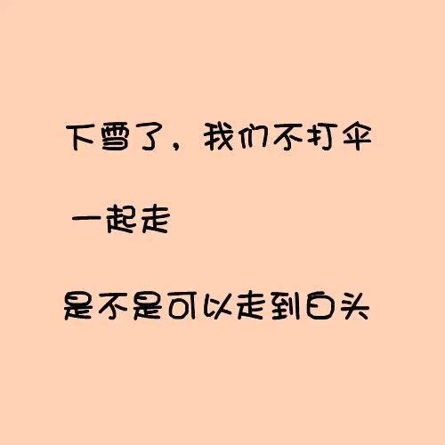 郑新