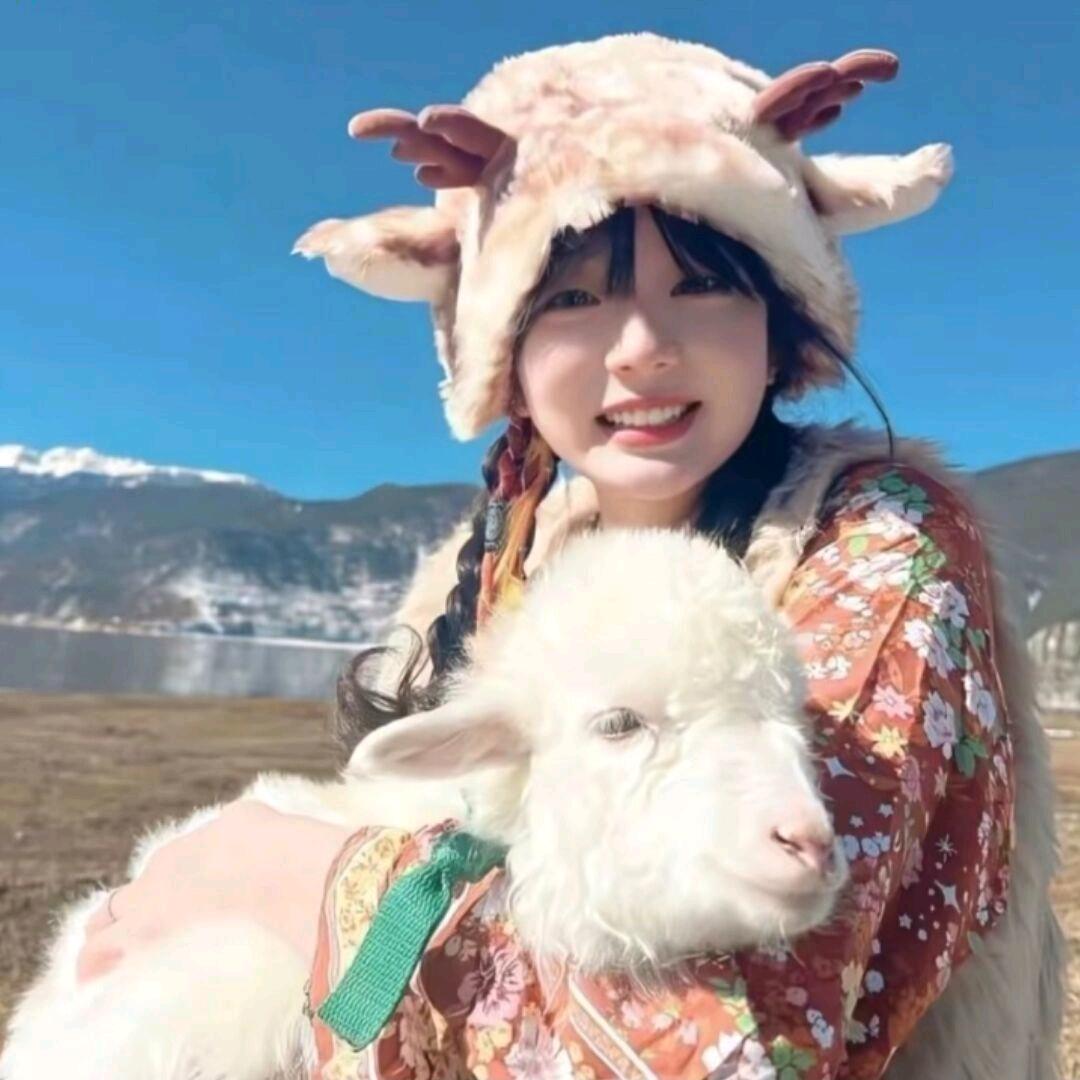 何处寻青山