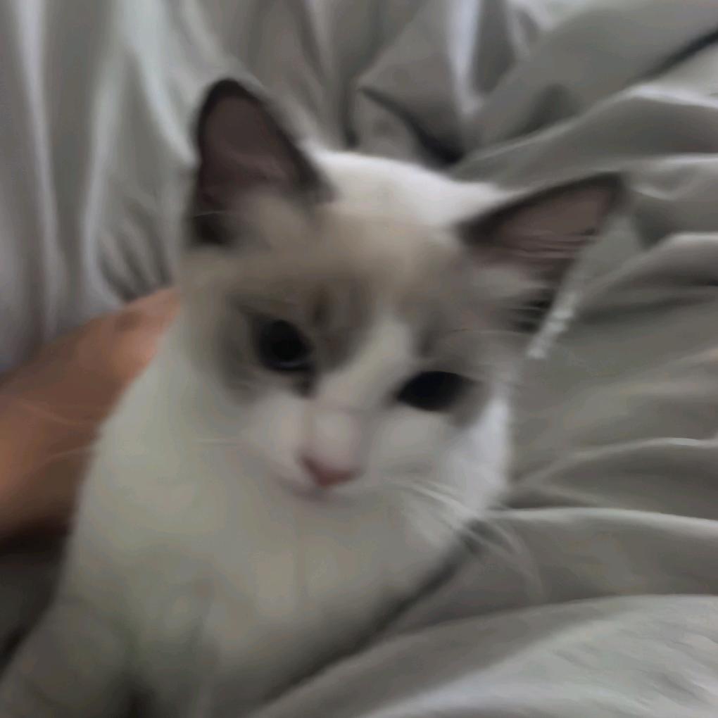 gugugu
