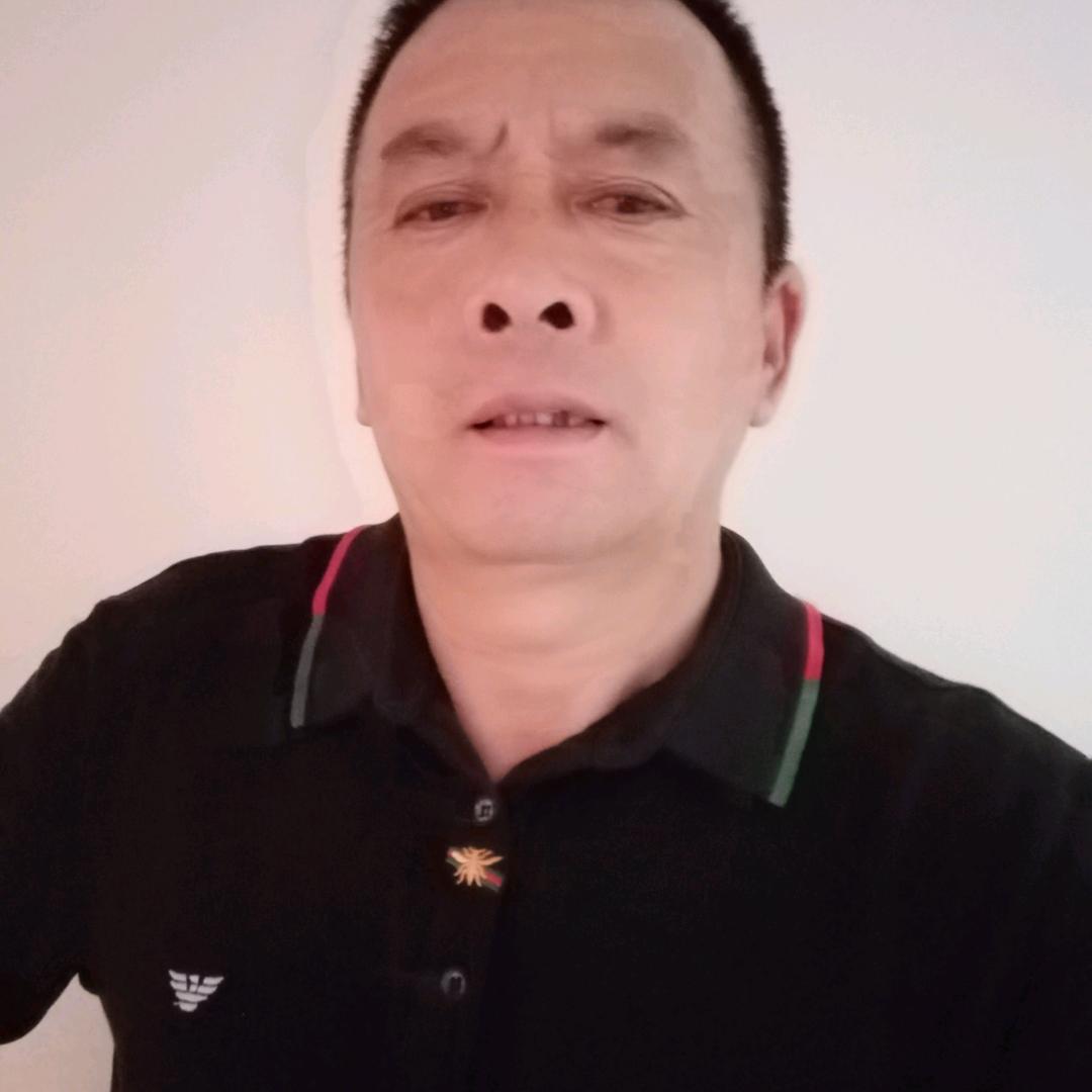 成清金弹子盆景素材