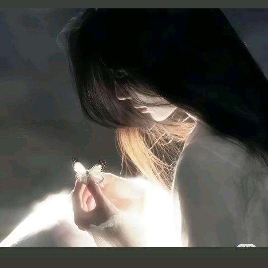WWW