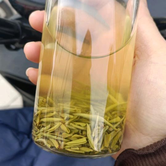 沈家老三
