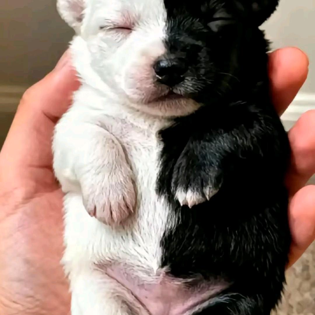 无所求，无所不求