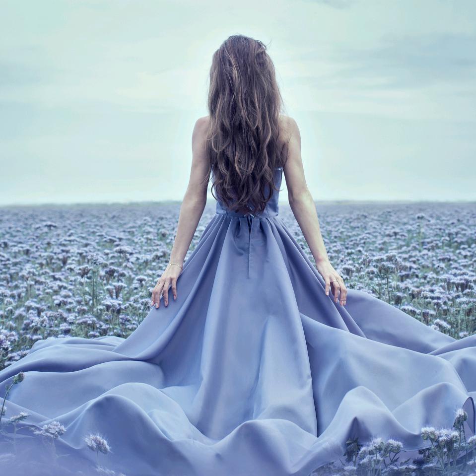 升学规划陈老师