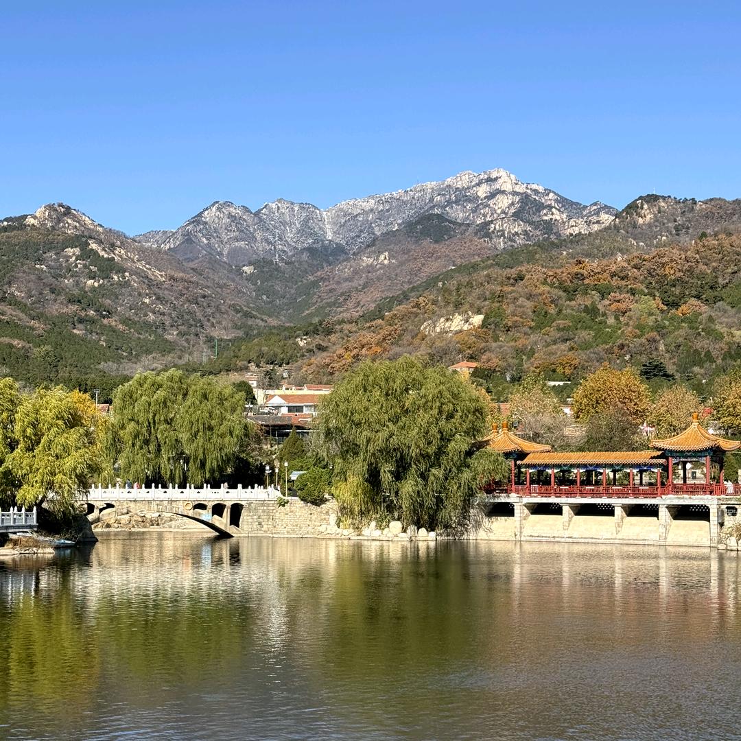泰山 竹影清风HQ