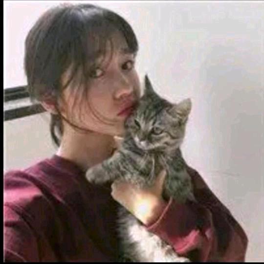 小野猫💫