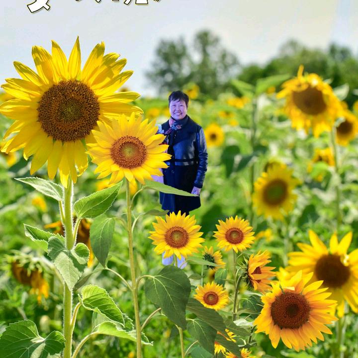 秀芹( 阿们)