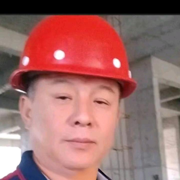 倦鸟归林