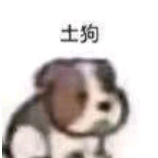 大笨蛋哈哈哈哈哈哈