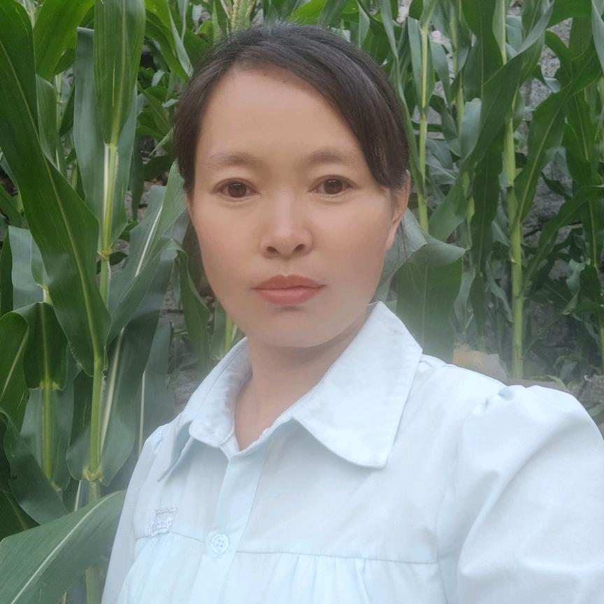 娄