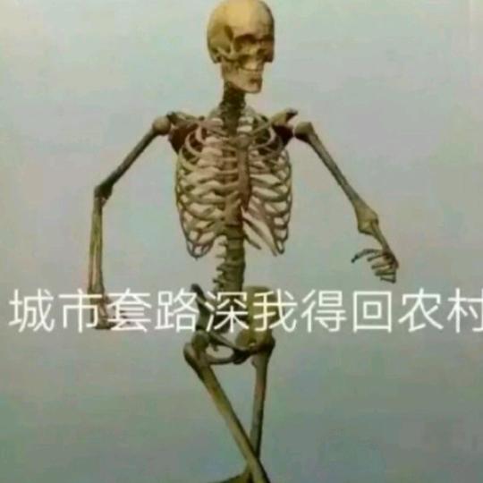 每天抖一抖，开心到永久，