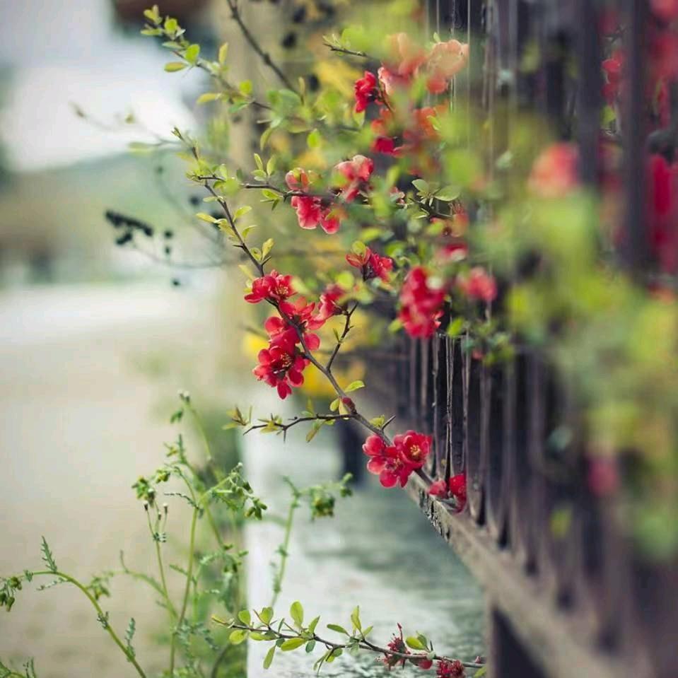 時光...