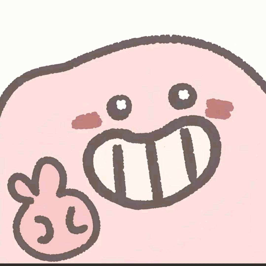 九珍🫐核桃包