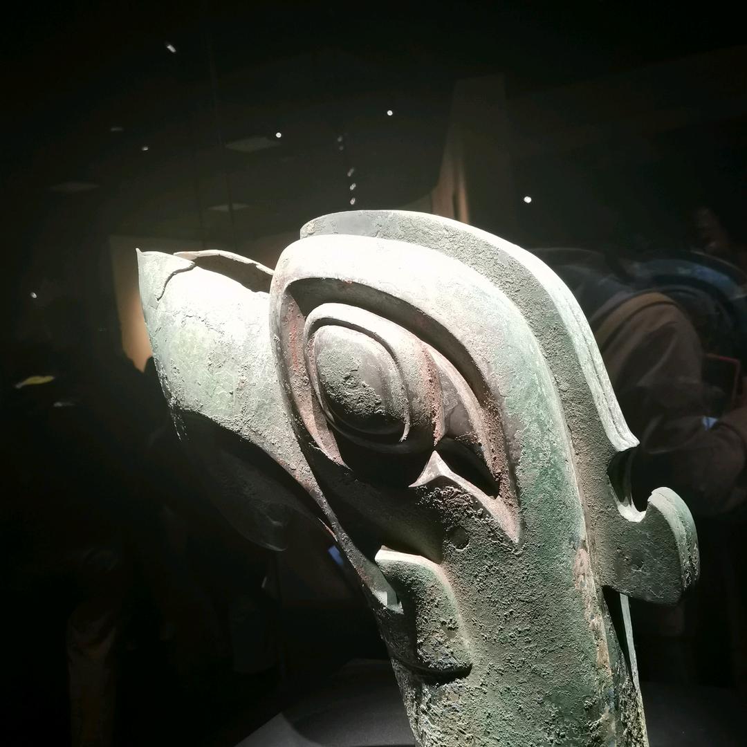 独爱小哥的小鹿