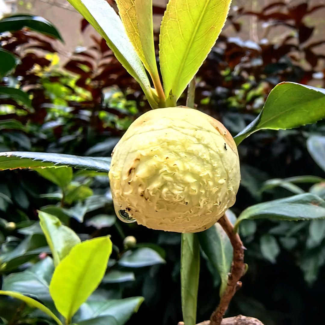 莹宝优选